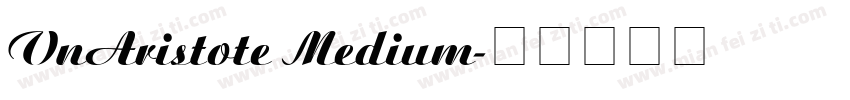 VnAristote Medium字体转换